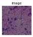 ../../../_images/39376d6769e6f97716d647222cddb290ab30e6a53e8caf09d58aec2f4743db74.png