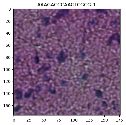 ../../../_images/c8aef52f247fea6c8d44be88970598f97a4e8d04a1e07b02cf537c0c4af5bdf6.png