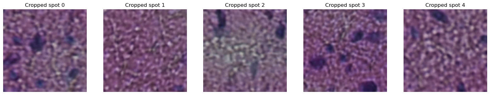 ../../../_images/f5b2c36a5cbfe600a5953e88cd026e09e6e5abf1e52466d1be408bedb856f5dc.png
